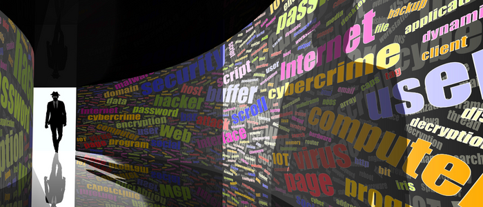 Password strength blog content2 700x300