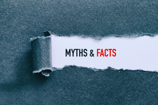 The SME Myth 