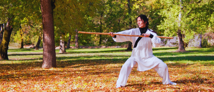 Mar2026 Blog kung foo 700x300