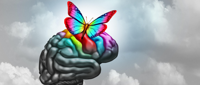 easter brain butterfly 700x300